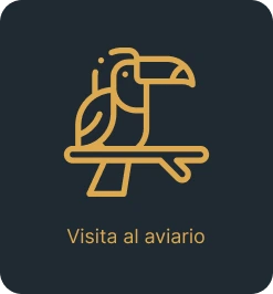 Experiencias en Cartagena 11 Visita al Aviario Nacional en Cartagena: explora la biodiversidad de Colombia